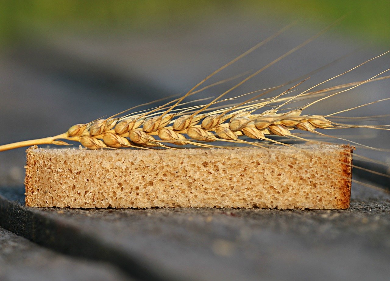 celiac disease, wheat