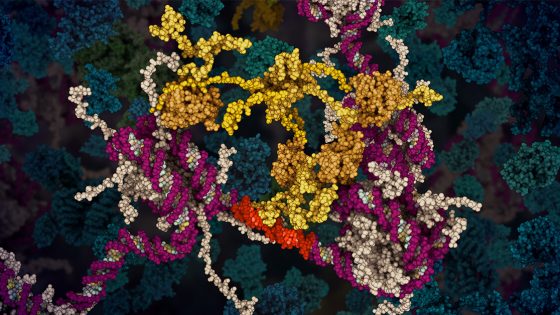 animation to show tumor protein