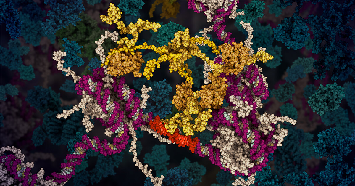 animation to show tumor protein