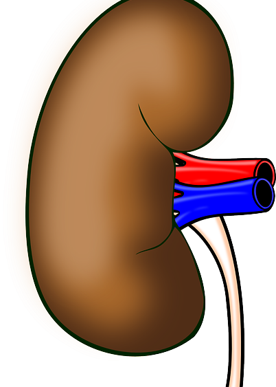 kidney disease in diabetes